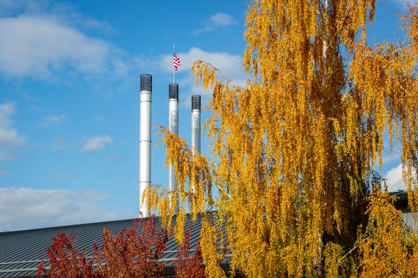 A tall tree with yellow leaves stands in front of the Old Mill District smoke stacks.